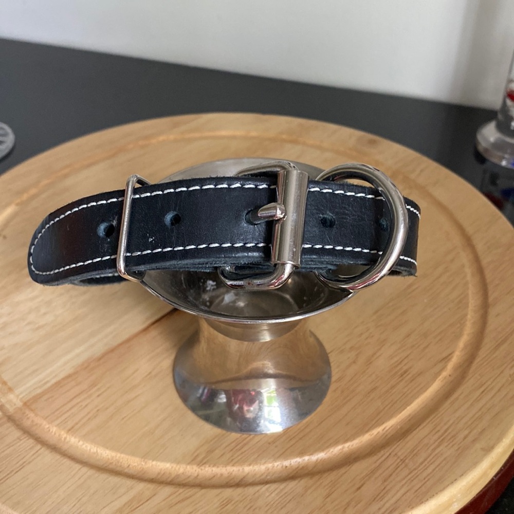 Dog collar by Arizona